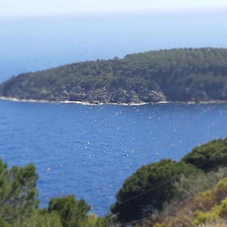 卡勒公寓酒店 Isola D'Elba 外观 照片