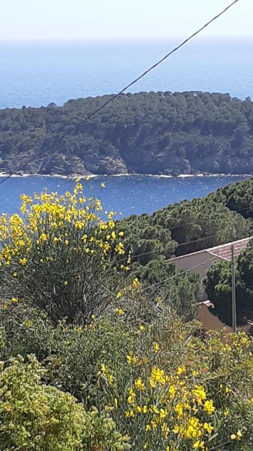卡勒公寓酒店 Isola D'Elba 外观 照片