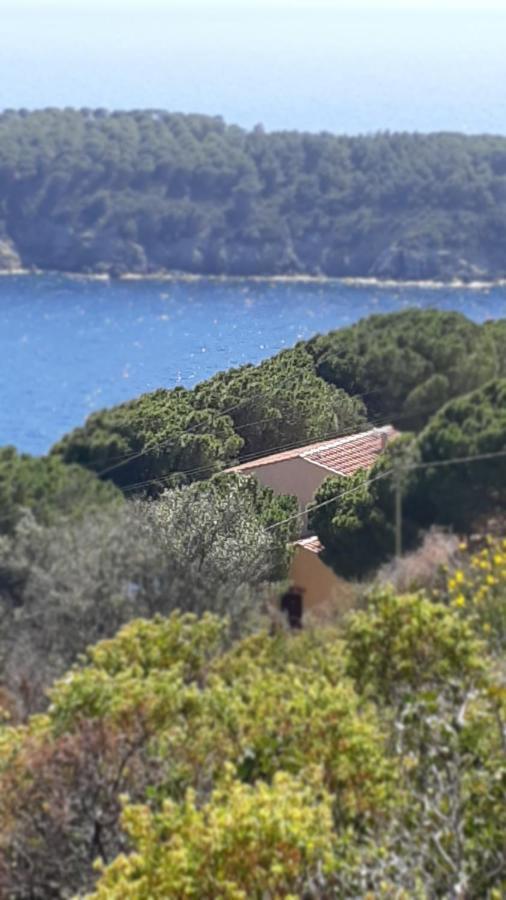 卡勒公寓酒店 Isola D'Elba 外观 照片