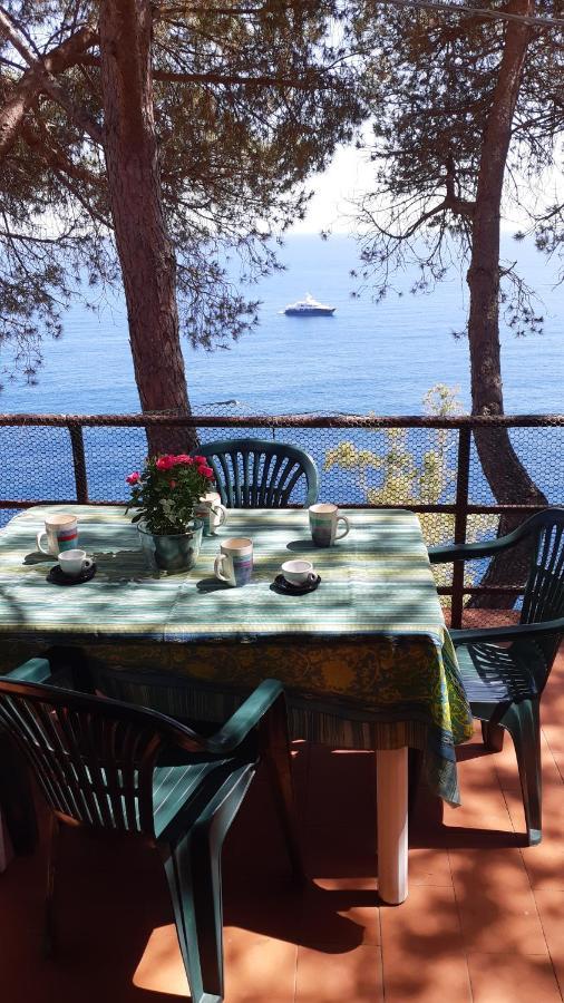 卡勒公寓酒店 Isola D'Elba 外观 照片