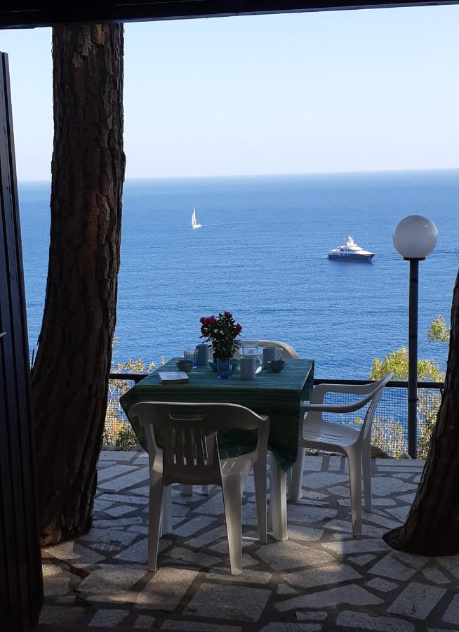 卡勒公寓酒店 Isola D'Elba 外观 照片