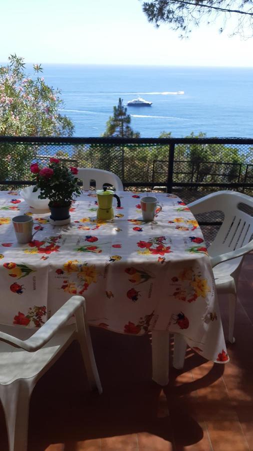 卡勒公寓酒店 Isola D'Elba 外观 照片