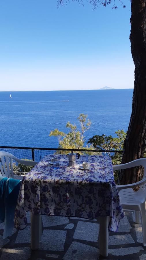 卡勒公寓酒店 Isola D'Elba 外观 照片