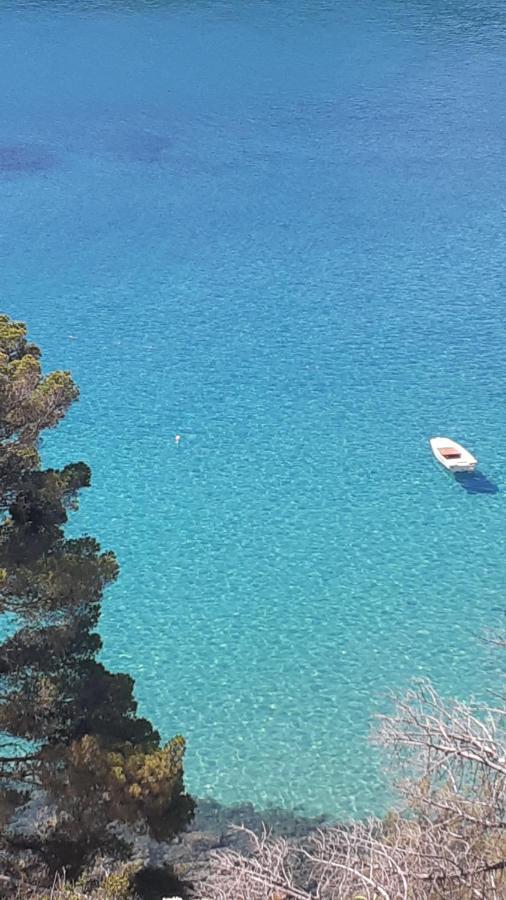 卡勒公寓酒店 Isola D'Elba 外观 照片