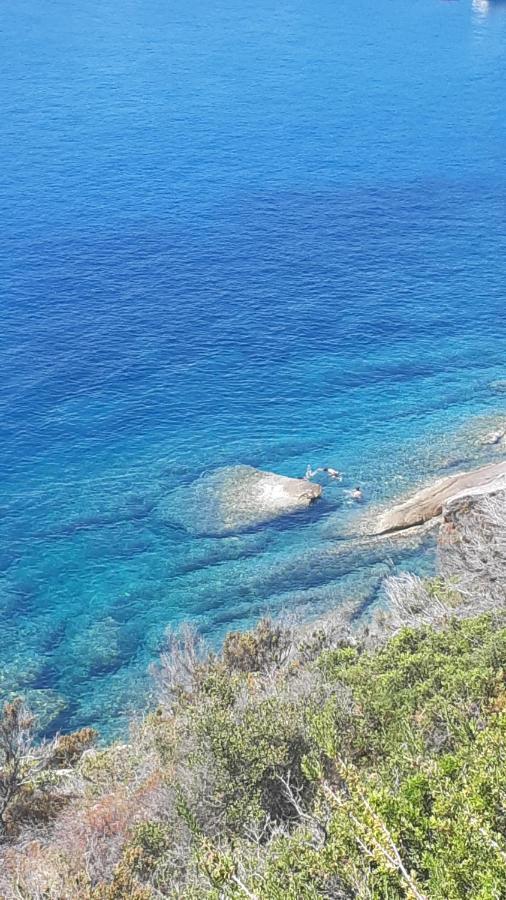 卡勒公寓酒店 Isola D'Elba 外观 照片