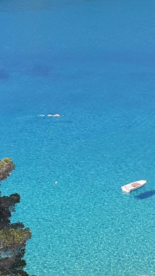 卡勒公寓酒店 Isola D'Elba 外观 照片