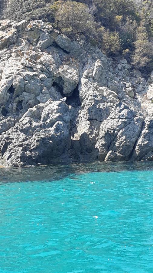 卡勒公寓酒店 Isola D'Elba 外观 照片