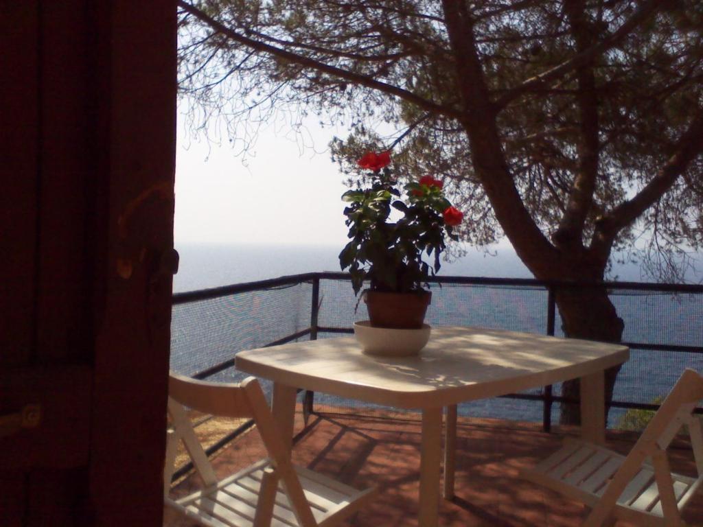 卡勒公寓酒店 Isola D'Elba 外观 照片