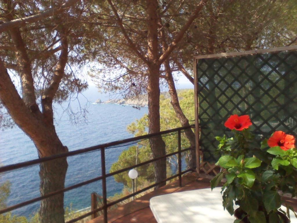 卡勒公寓酒店 Isola D'Elba 外观 照片